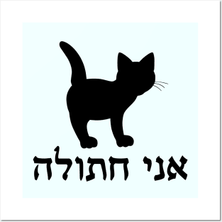 I'm A Cat (Hebrew, Feminine) Posters and Art